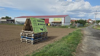 Samosběry jahod