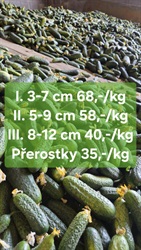 Okurky - nakladačky